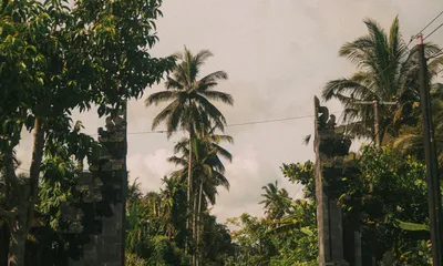Bali